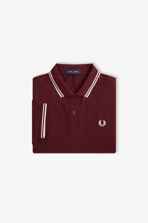 Fred Perry M3600 Fred Perry Shirt Herren Oxblood / Ecru / Ecru | DCHVO23076