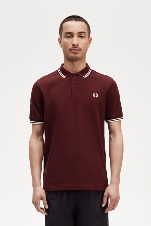 Fred Perry M3600 Polo Shirts Herren Oxblood / Ecru / Ecru | TCHPQ55071
