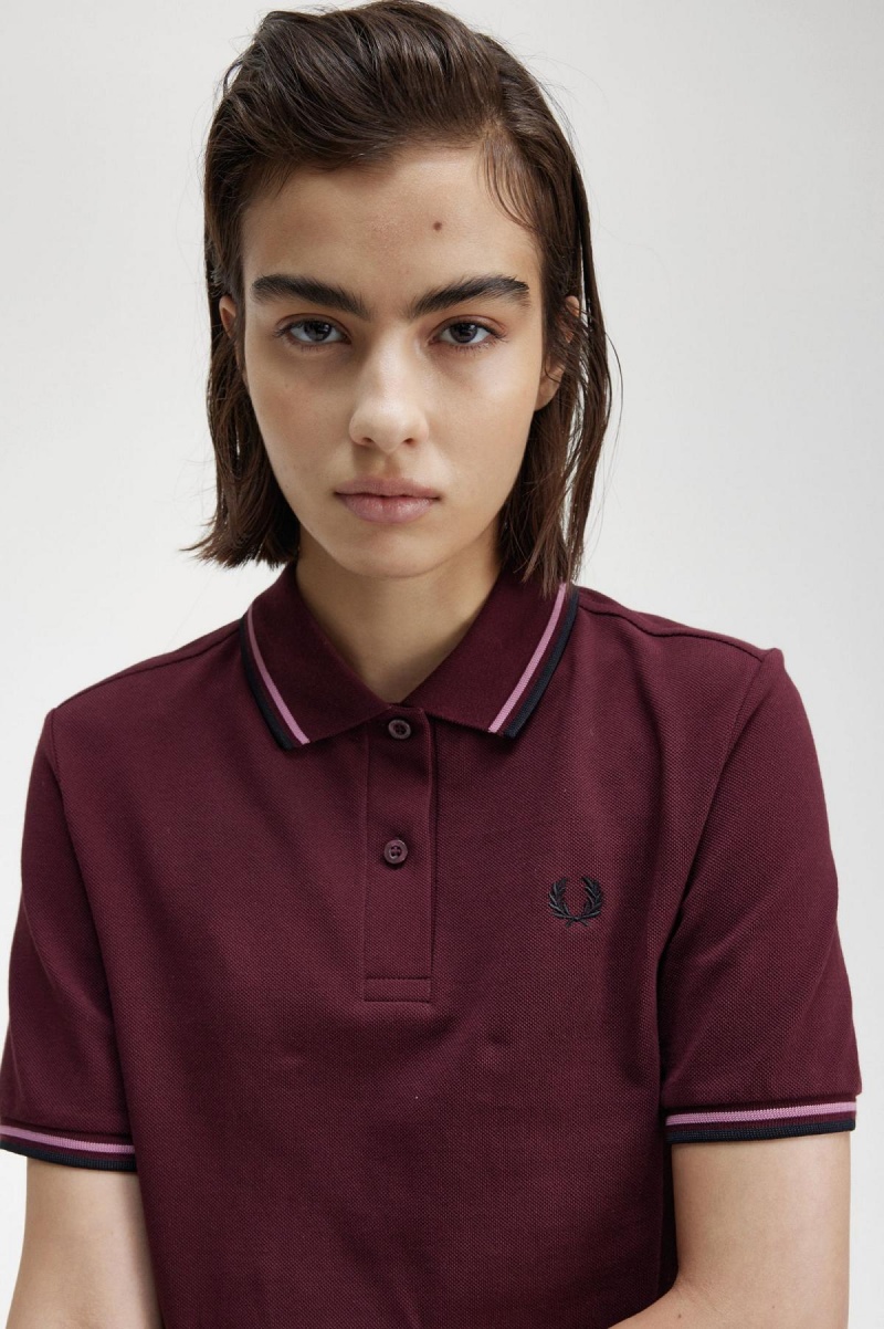 Fred Perry G3600 Polo Shirts Damen Rosa Rosa Schwarz | QCHWA36081